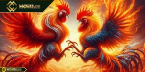 đá gà thomo mcw67